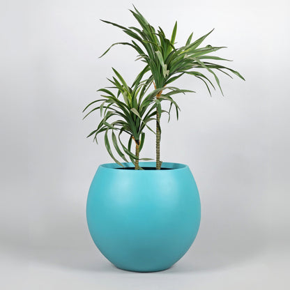 blue potted plant in a blue pot on a light gray background