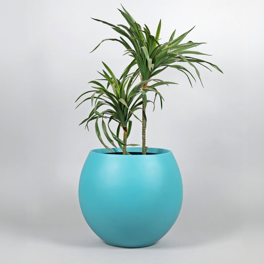 blue potted plant in a blue pot on a light gray background