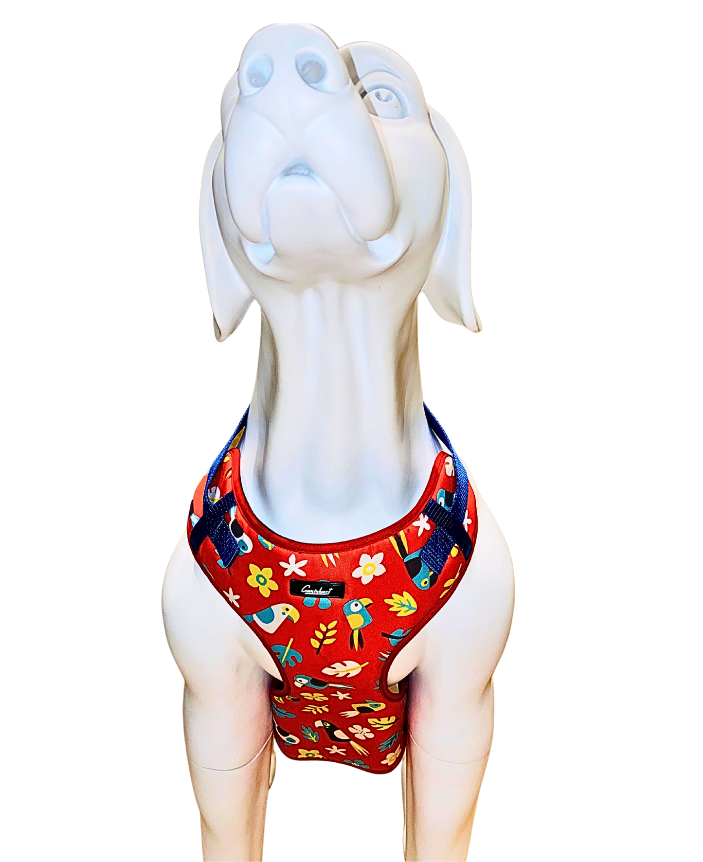Chest Harness