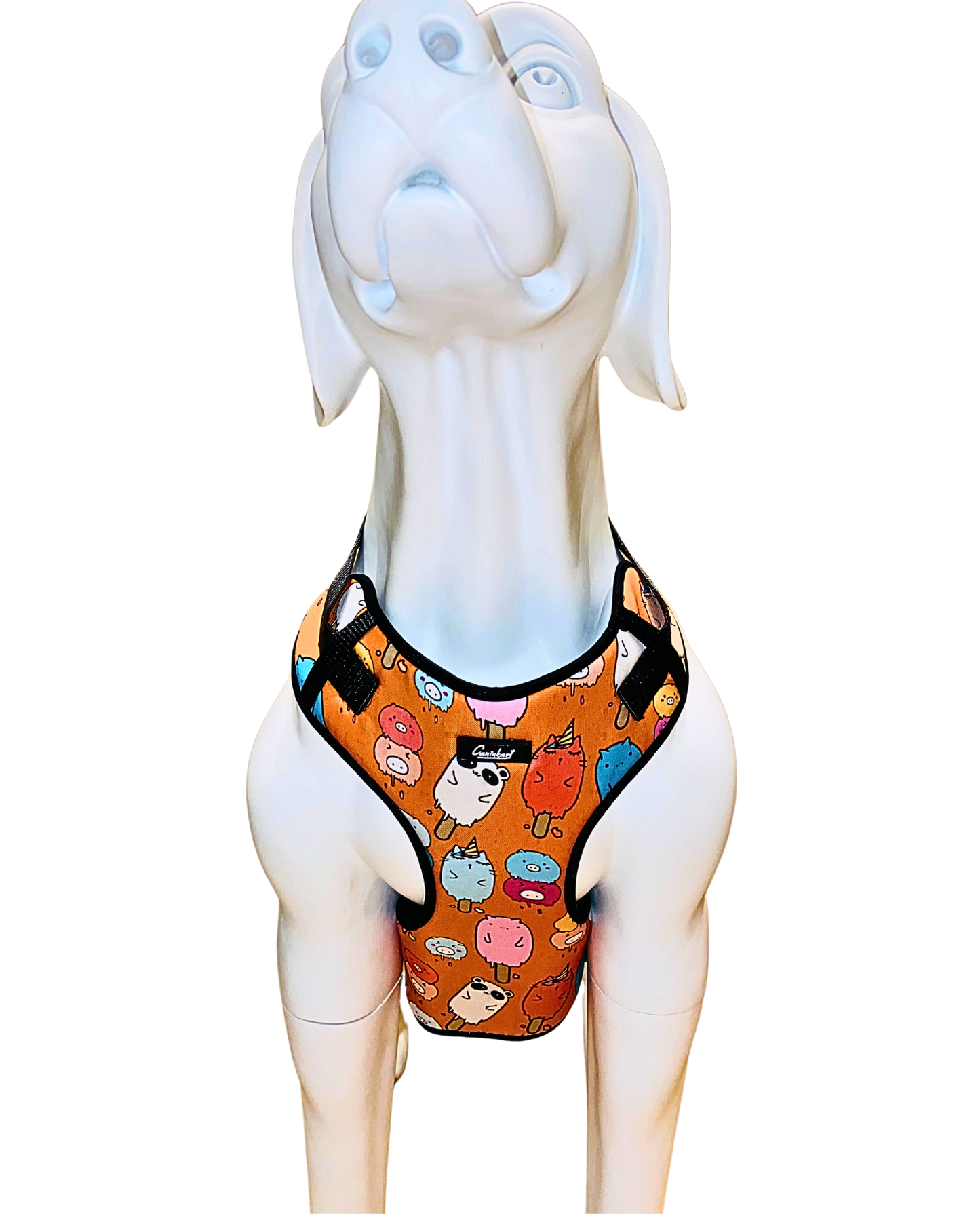 Chest Harness