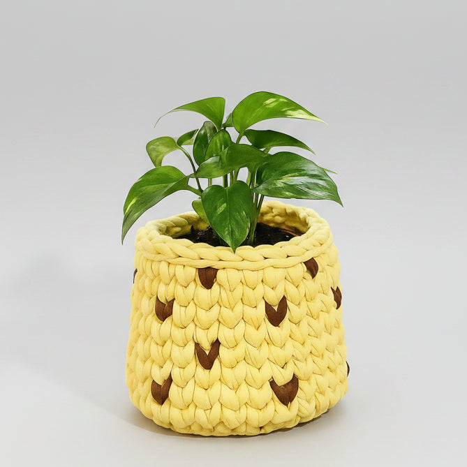 Multipurpose Handcrafted Cotton Crochet Planter