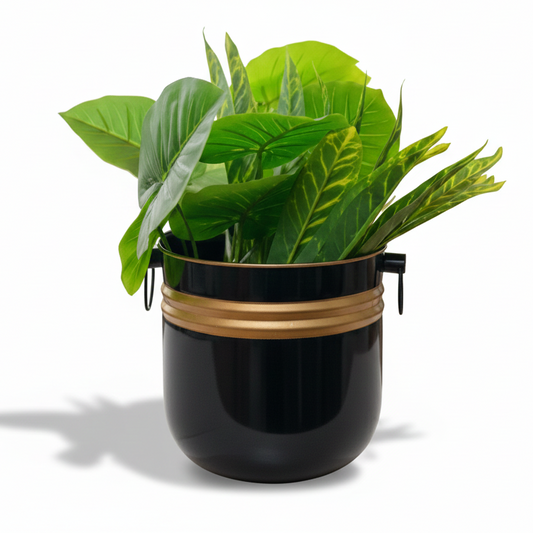 Black planter with gold accent holding green leafy plants on a white background