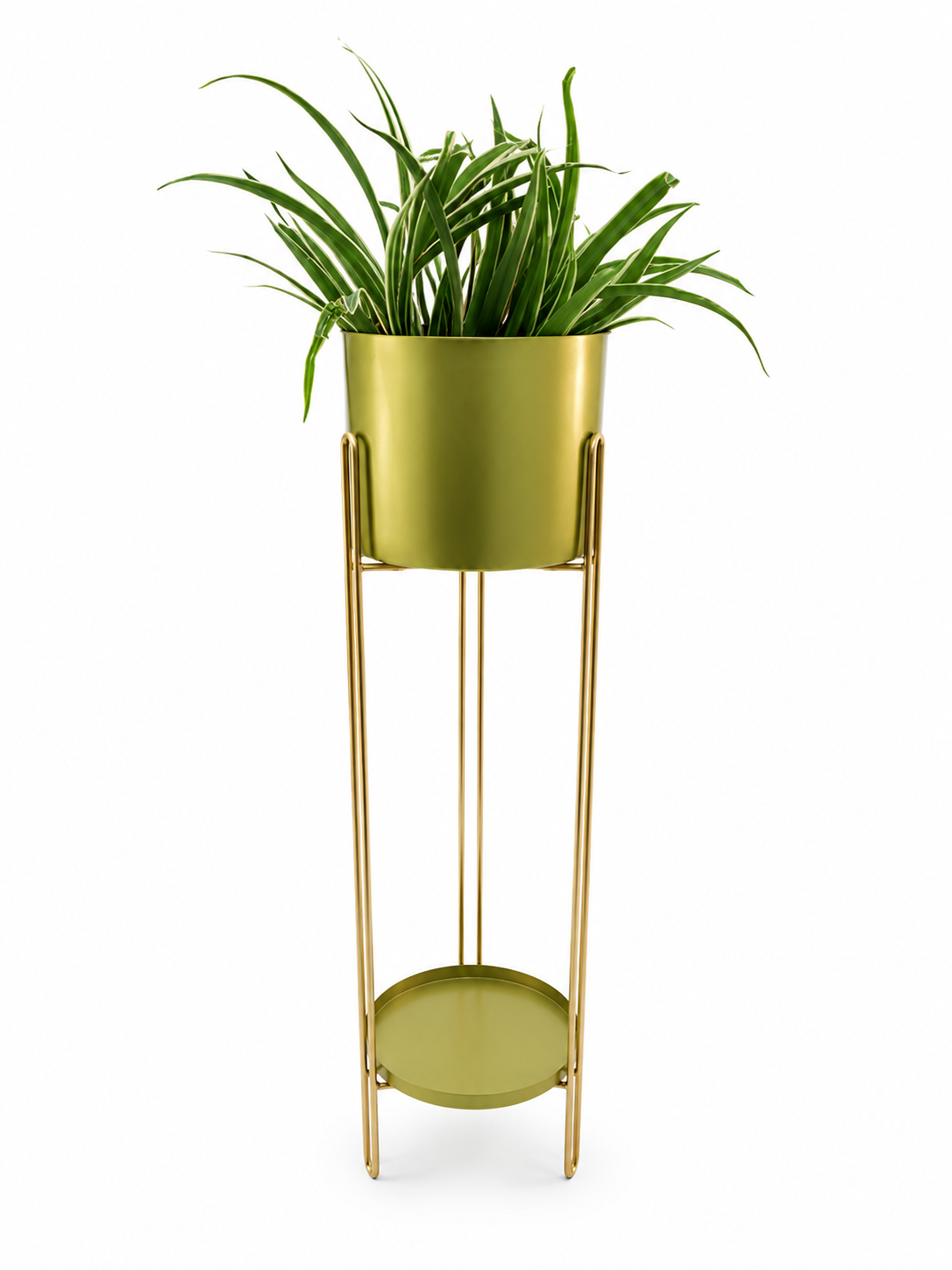 Tall Cylindrical Metal Planter with Elevated Stand