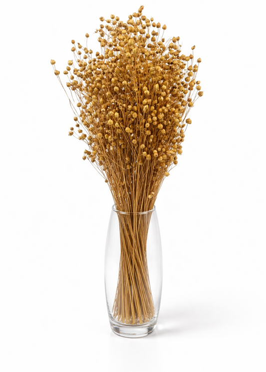 Natural Dried Linum (Flax) Grass Bundle