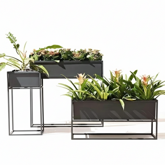 Set of black metal planters with plants on a white background