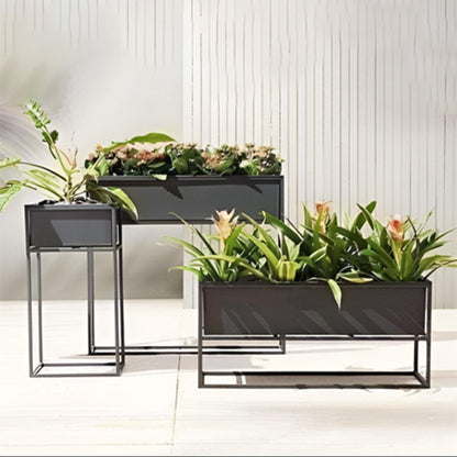 Set of black metal planters with plants against a light gray wall.