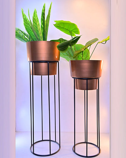 Glossy Gold Metal Pots with Black Iron Plant Stands – Set of 2 Modern Planters – 29.13 Inch & 25.20 Inch