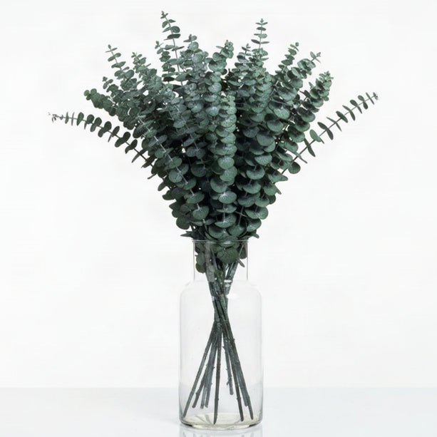 Preserved Baby Blue Eucalyptus Bunch