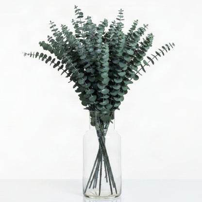 Preserved Baby Blue Eucalyptus Bunch