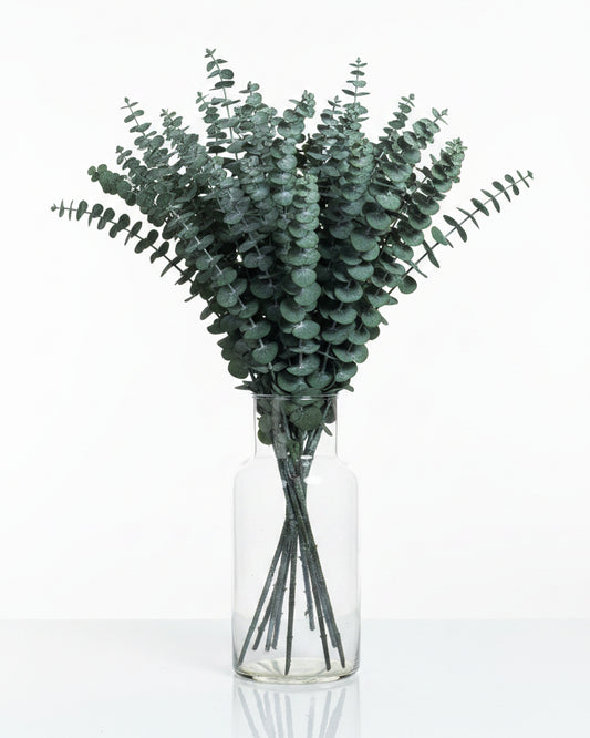 Preserved Baby Blue Eucalyptus Bunch