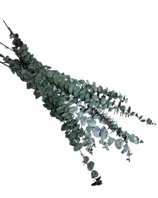 Preserved Baby Blue Eucalyptus Bunch