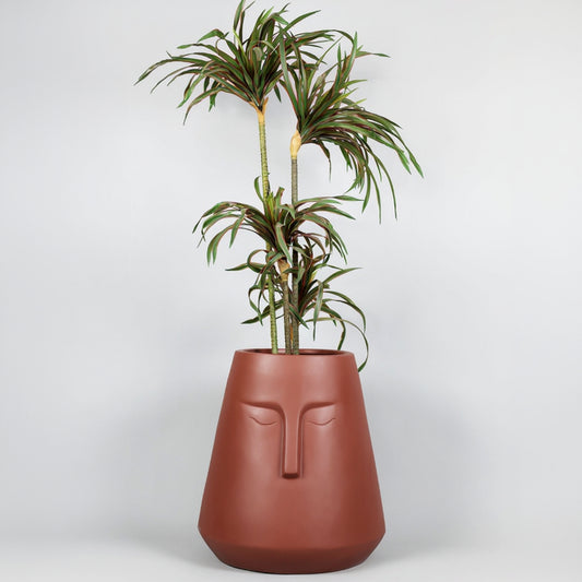 Decorative plant pot with face design on a white background