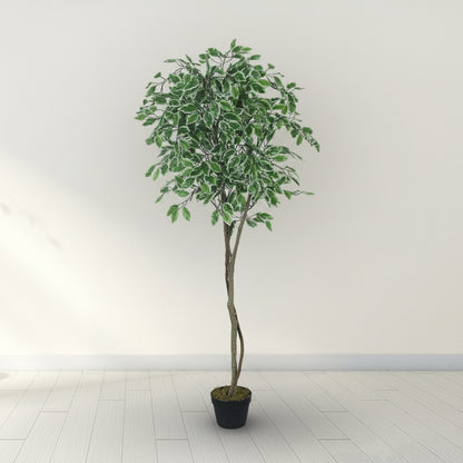 Potted plant against a plain wall with a light wood floor