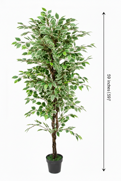 Artificial Ficus Plant - 70.87-Inch Faux Tree