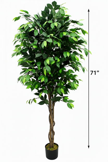 Ficus Artificial Plant 71 Inch Lifelike Tree