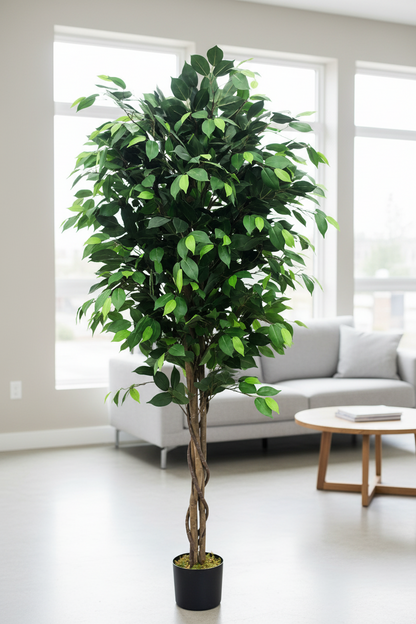Ficus Artificial Plant 71 Inch Lifelike Tree