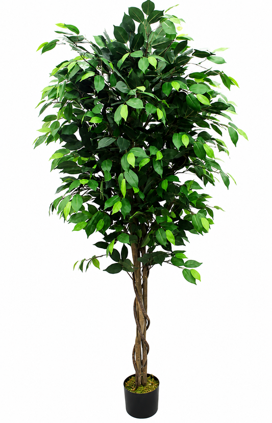 Ficus Artificial Plant 71 Inch Lifelike Tree