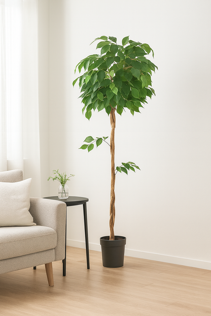 Premium Artificial Ficus Tree 62.9"