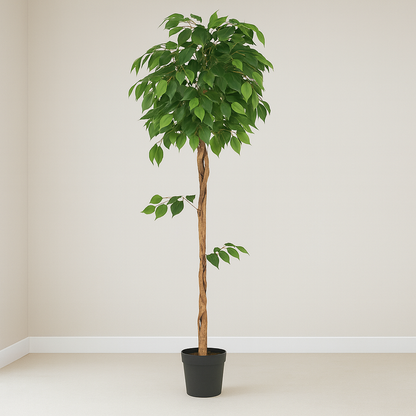 Premium Artificial Ficus Tree 62.9"