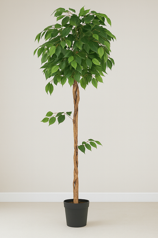 Premium Artificial Ficus Tree 62.9"