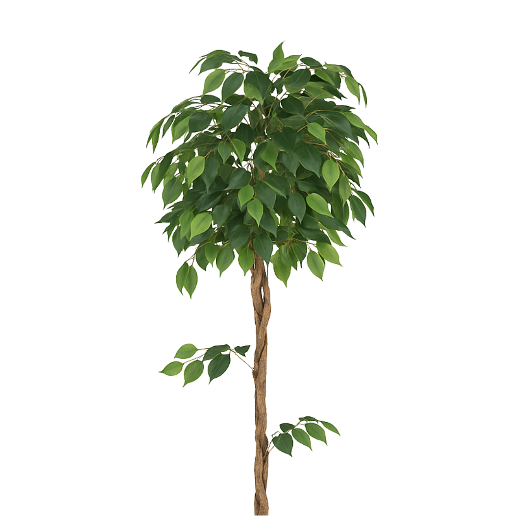 Premium Artificial Ficus Tree 62.9"