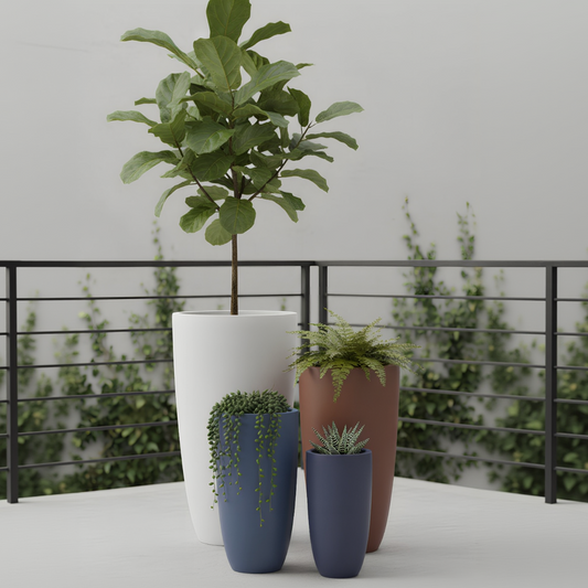 Four potted plants in different colors on a white surface with a blurred green outdoor background.