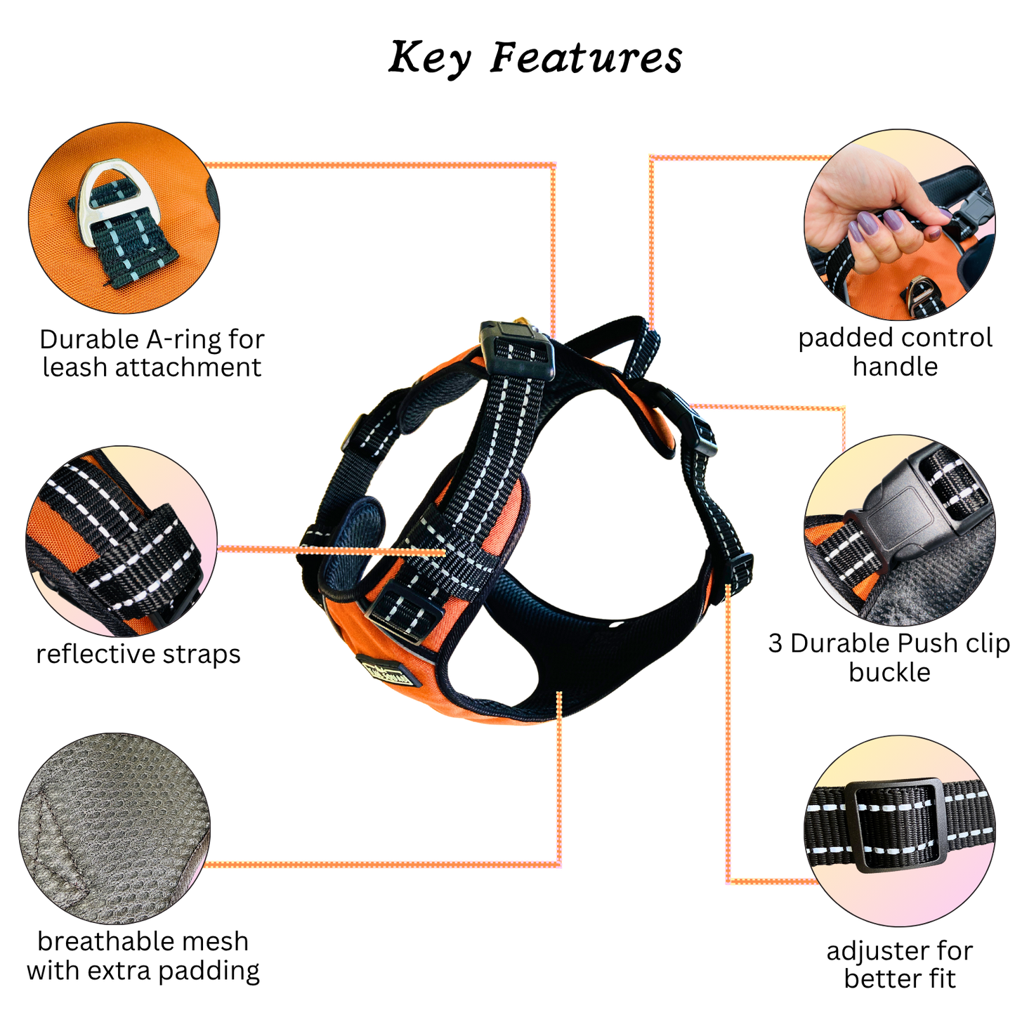 Full Body Harness