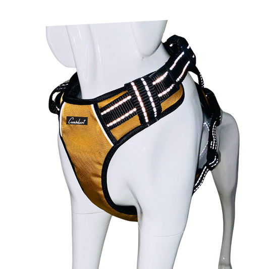 Full Body Harness