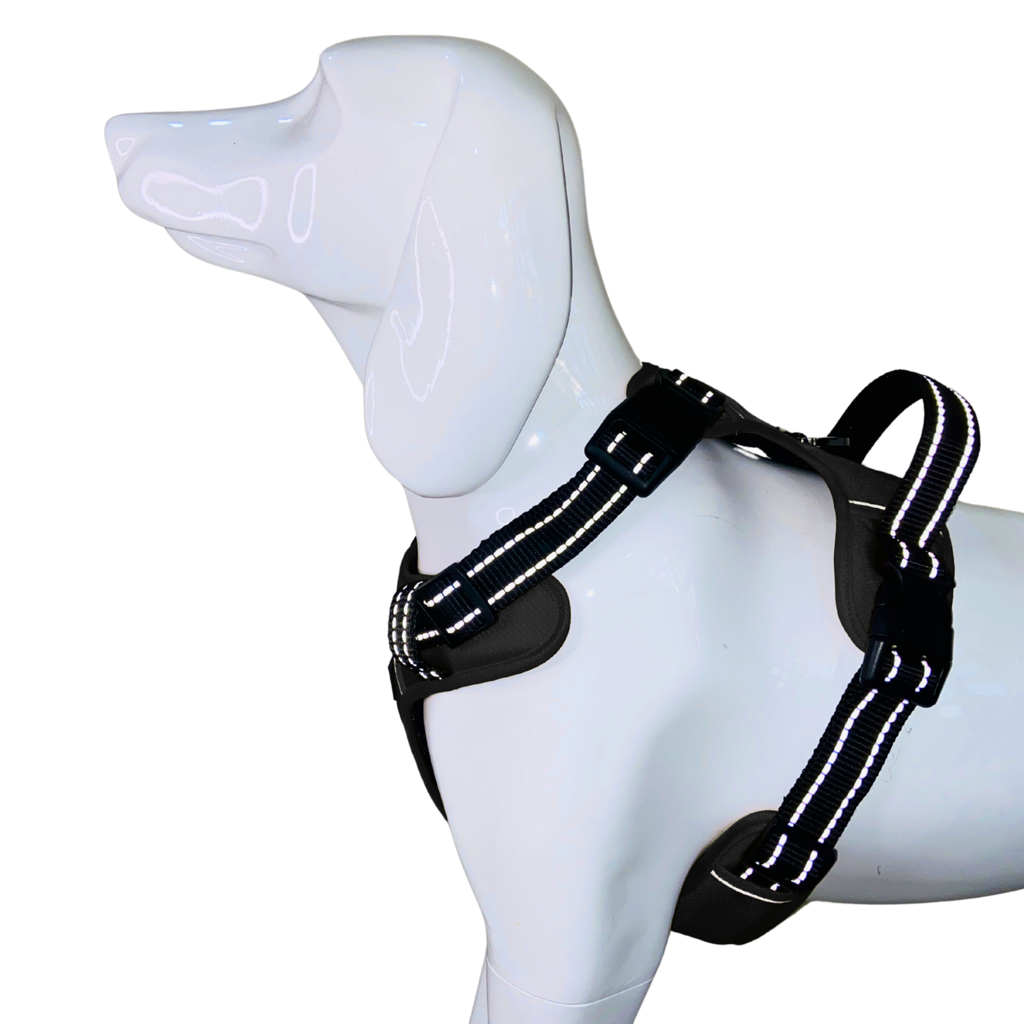 Full Body Harness