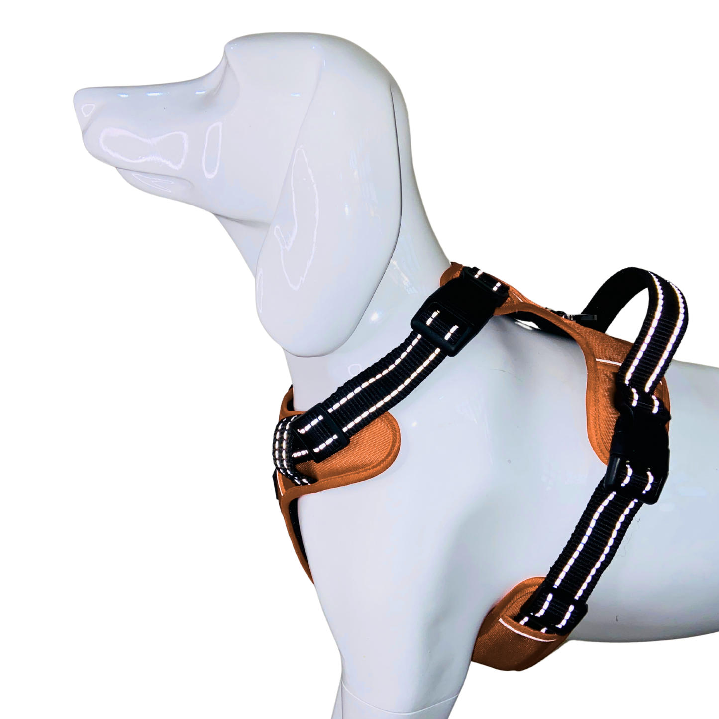 Full Body Harness