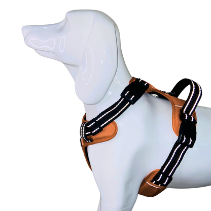 Full Body Harness