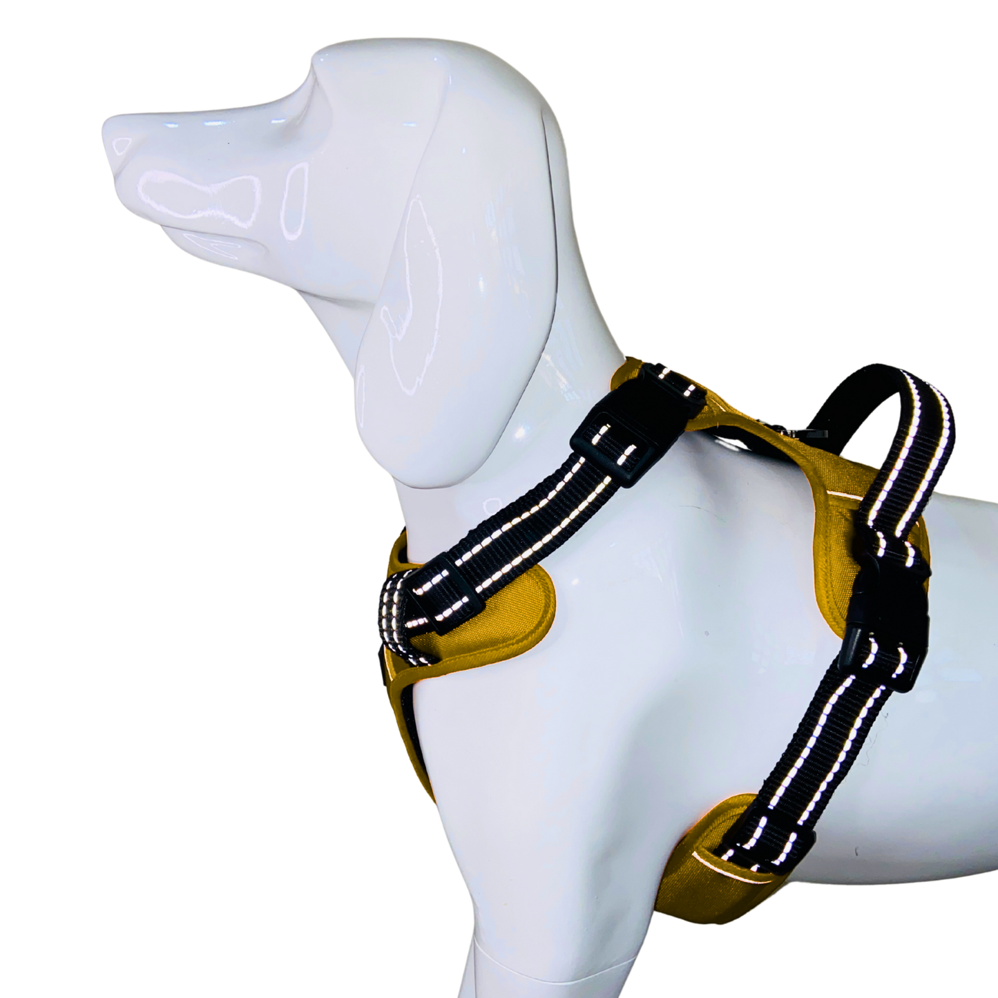 Full Body Harness
