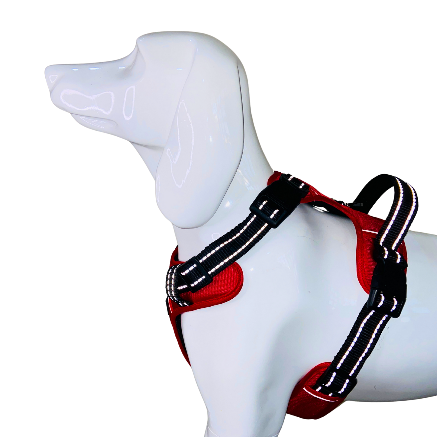 Full Body Harness