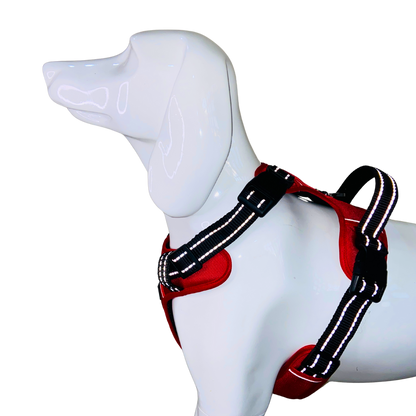 Full Body Harness