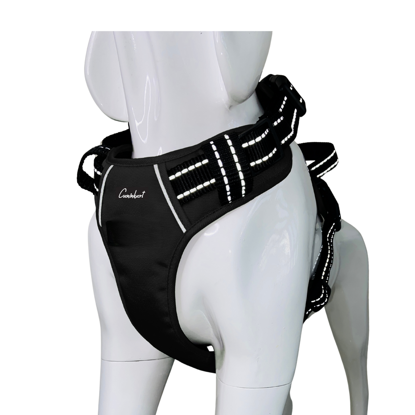 Full Body Harness
