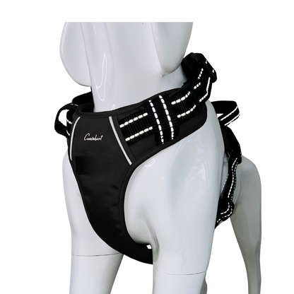 Full Body Harness
