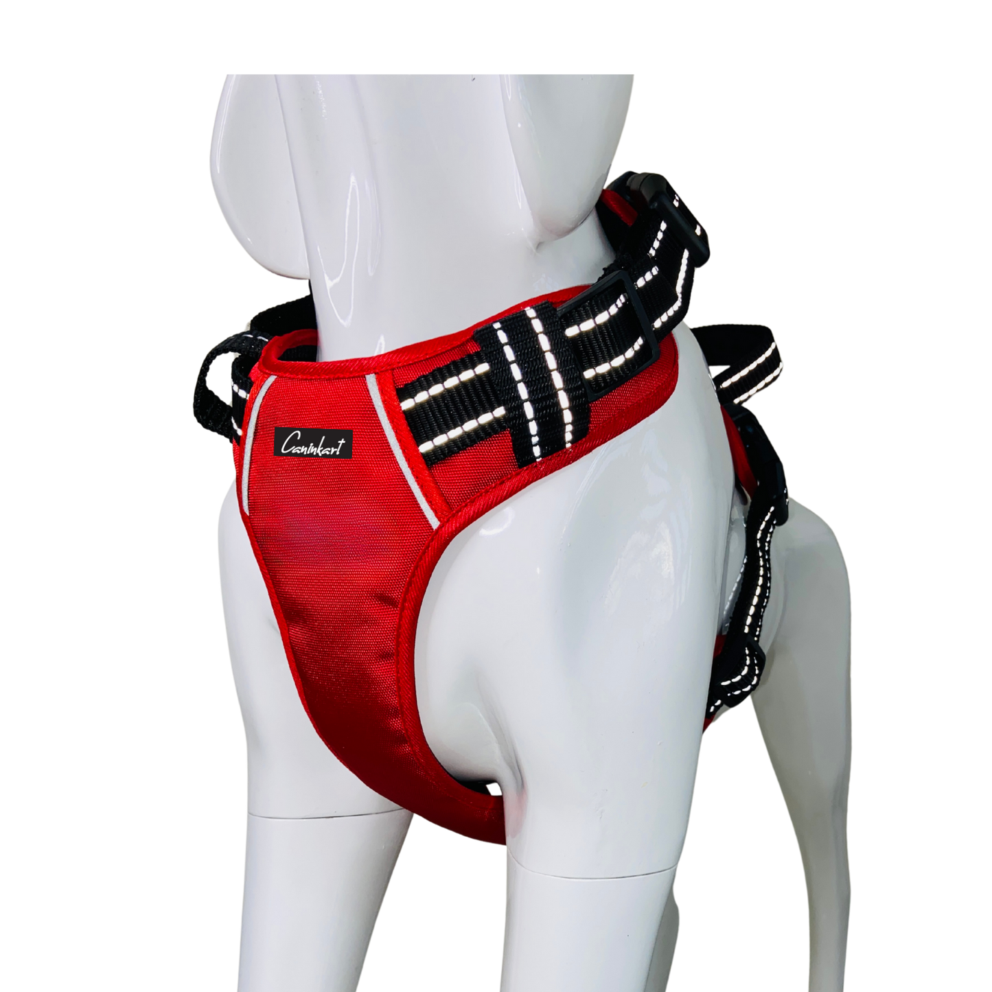 Full Body Harness