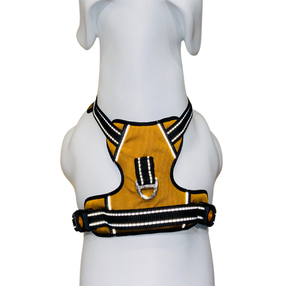 Full Body Harness
