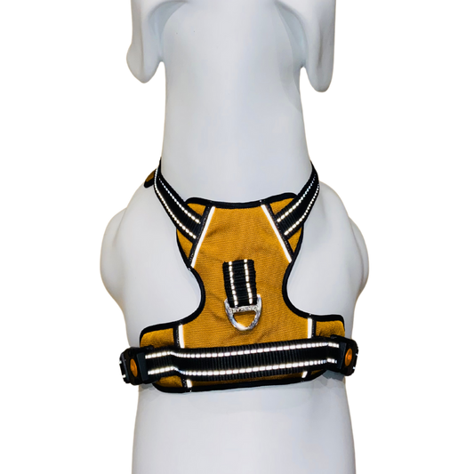 Full Body Harness
