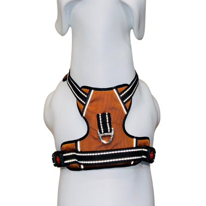Full Body Harness