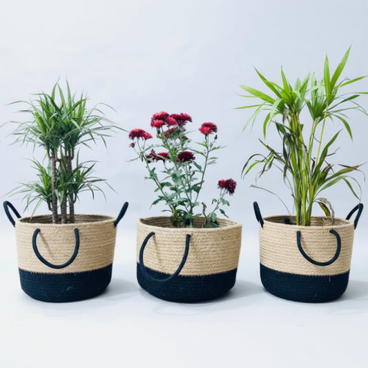 Handcrafted Woven Round Jute Planter Bag Set of 3
