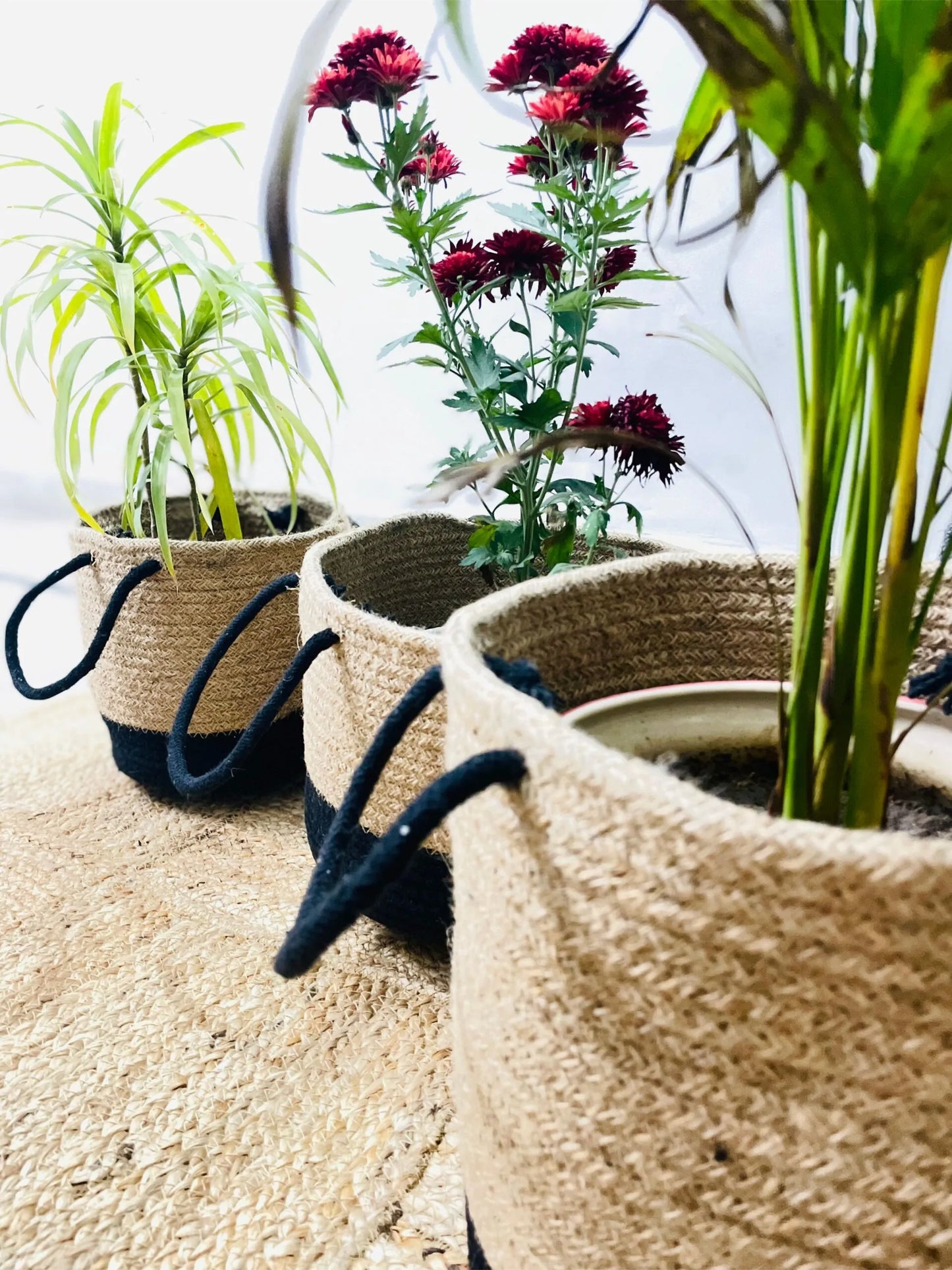 Handcrafted Woven Round Jute Planter Bag Set of 3