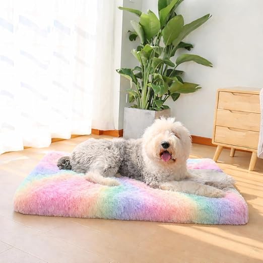Premium Orthopedic Large Dog Bed | 90cm