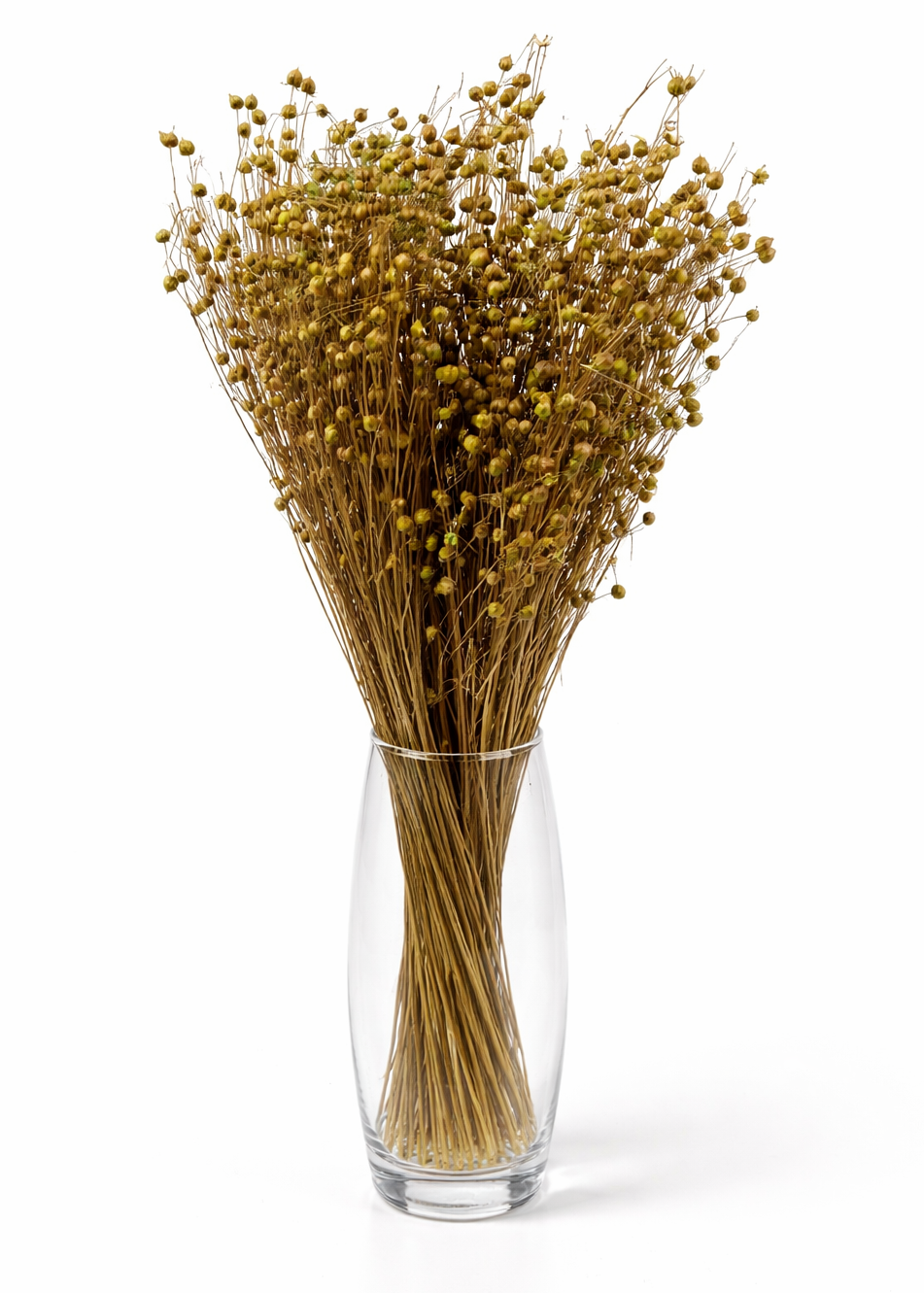 Bouquet of dried flowers in a clear glass vase on a white background
