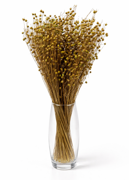 Bouquet of dried flowers in a clear glass vase on a white background