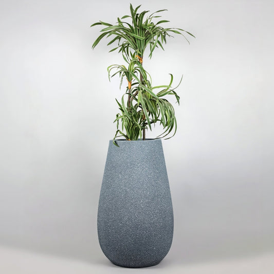 Gray textured planter with a green plant on a white background