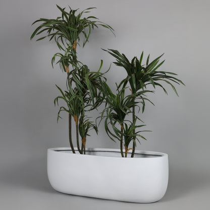 Potted plant in a white planter against a gray background