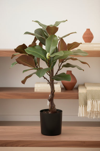 Artificial Rubber Plant Ficus Elastica 24"