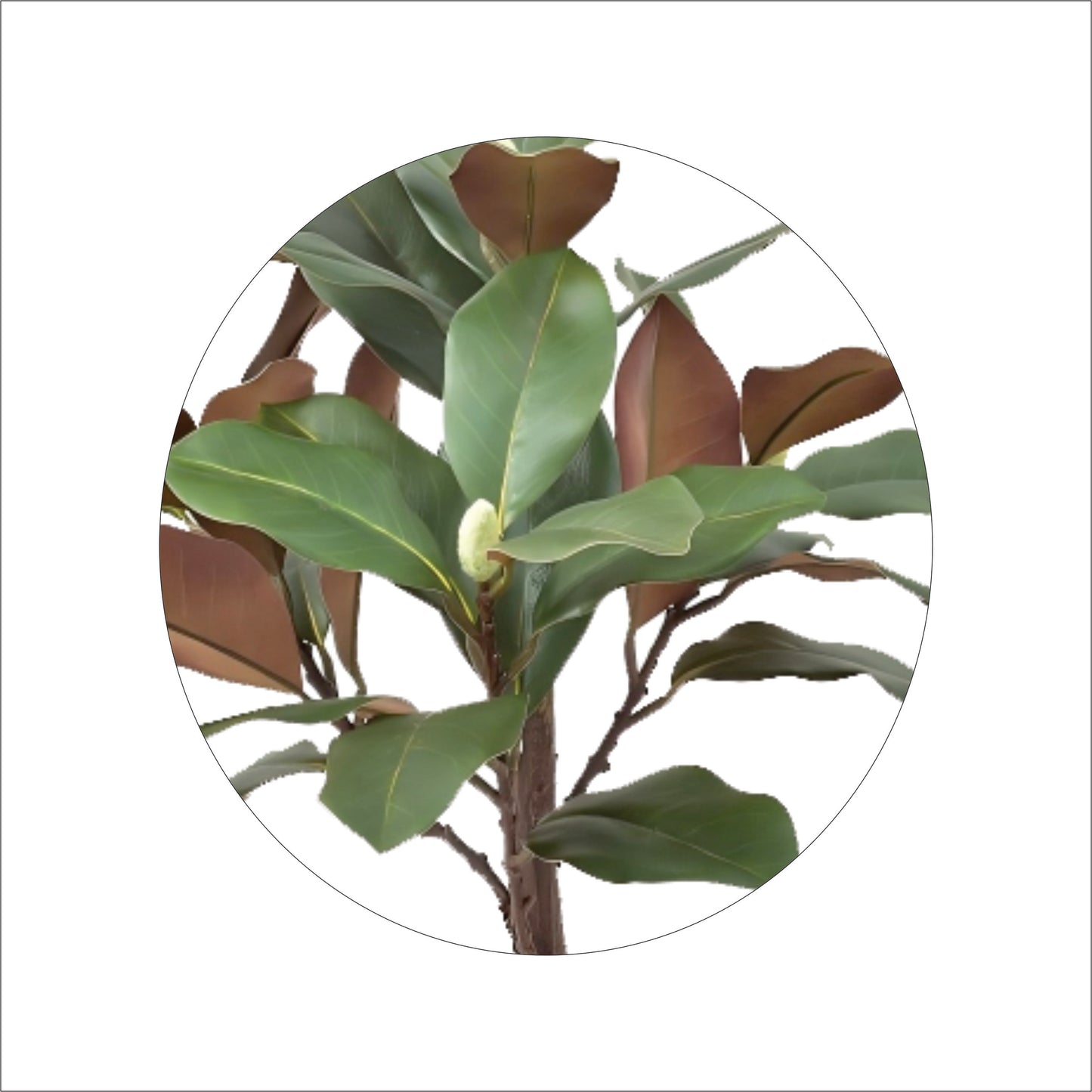 Premium Artificial Magnolia Tree with Buds 24"