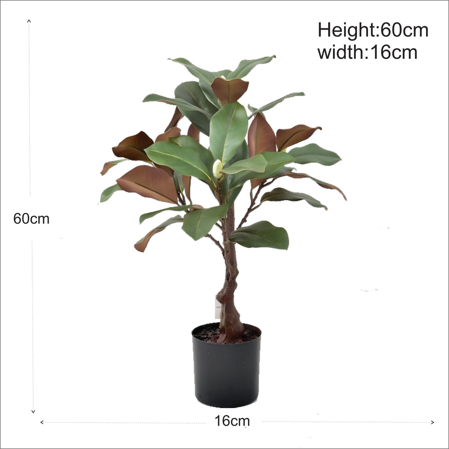 Premium Artificial Magnolia Tree with Buds 24"